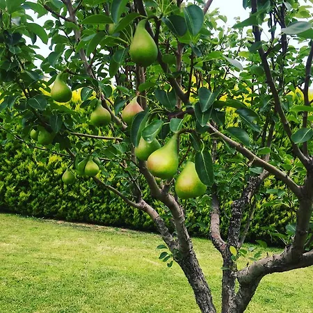 Apart-hotel Mare Caristo